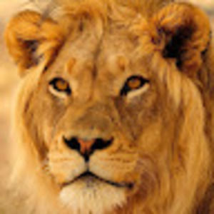 Meet your Posher, Jake